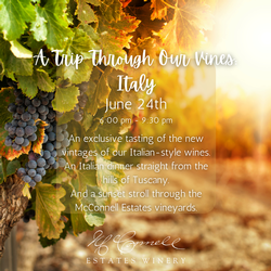 A Trip Through Our Vines: Italy