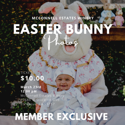 Easter Bunny 12 PM