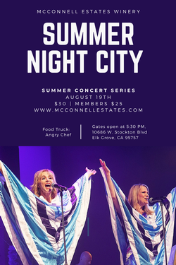 Summer Night City 2023 - an ABBA tribute
