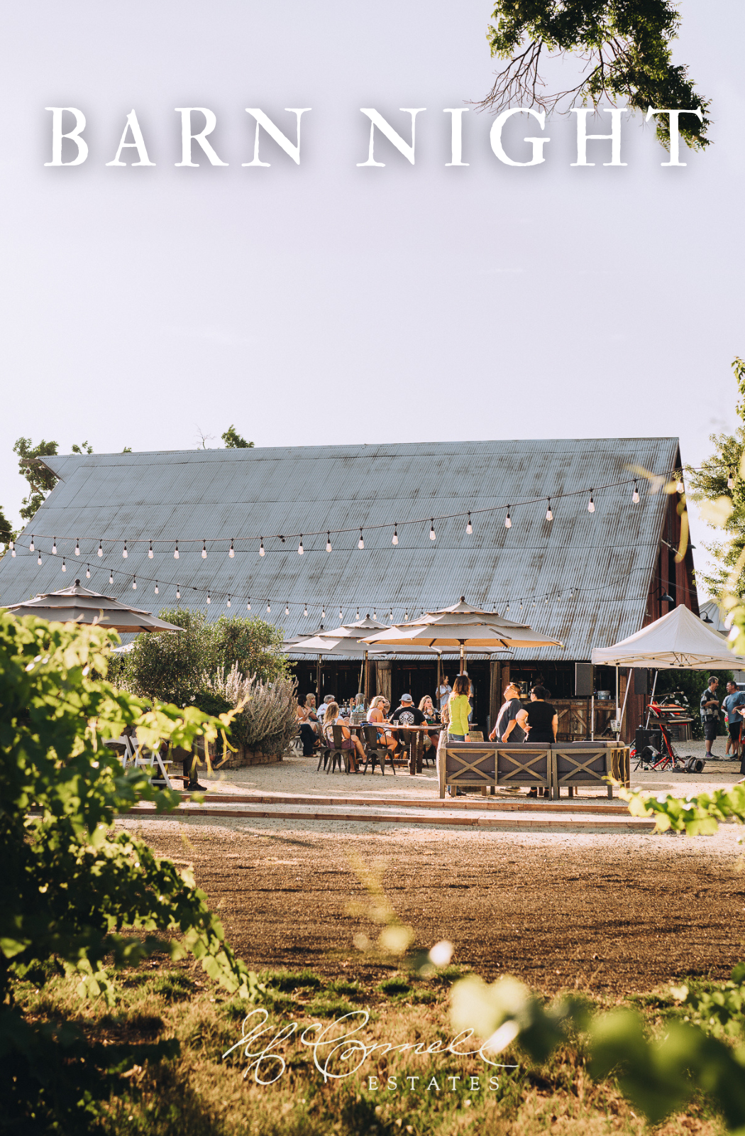 Barn Night Graphic